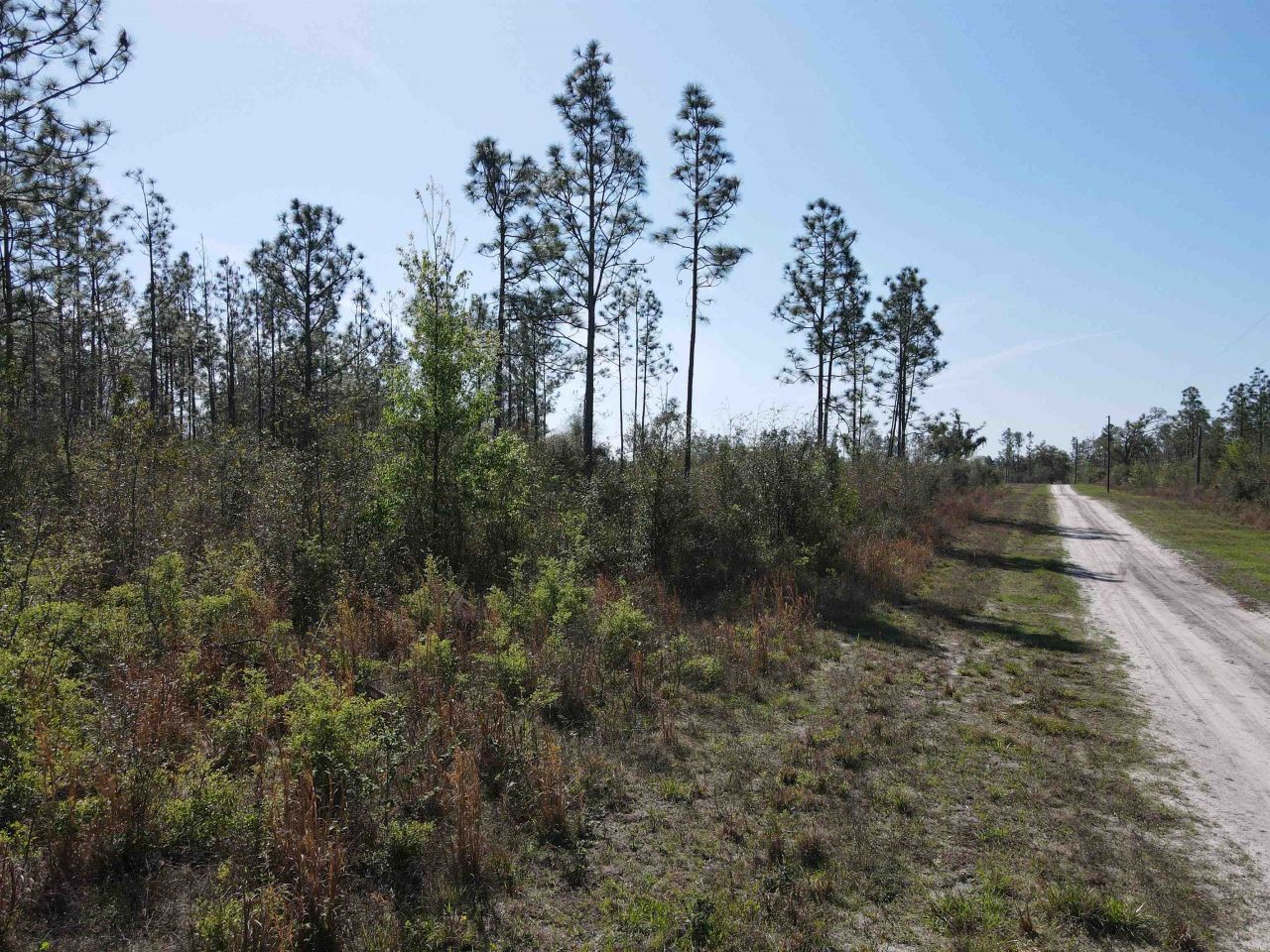 Se Colonial Way, Lee, FL 32059 Photo