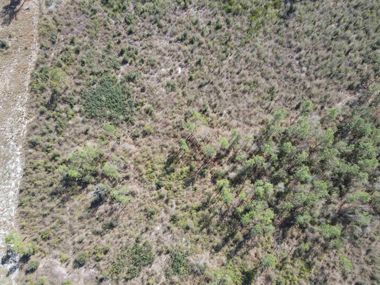 Se Colonial Way , Lee, FL 32059 Photo