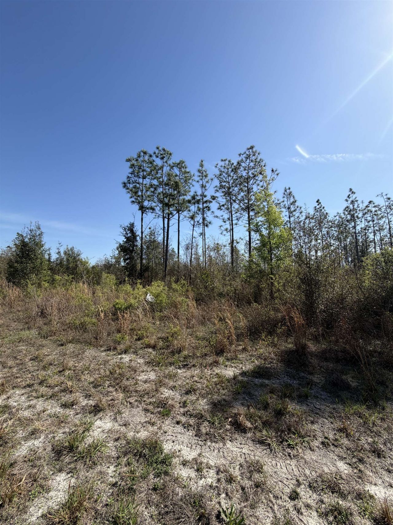 Se Colonial Way, Lee, FL 32059 Photo