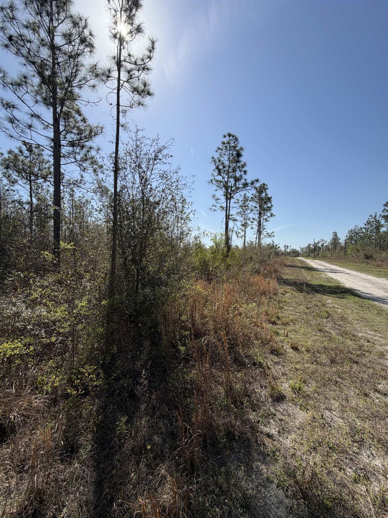 Se Colonial Way, Lee, FL 32059 Photo