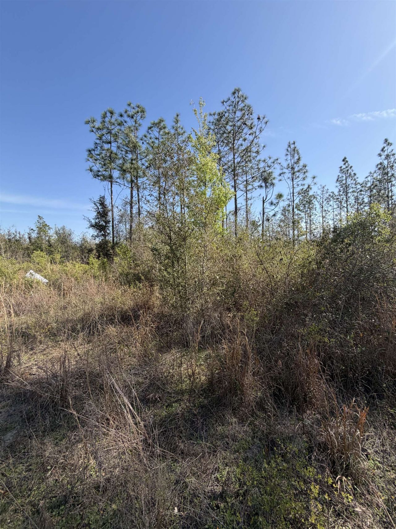 Se Colonial Way, Lee, FL 32059 Photo