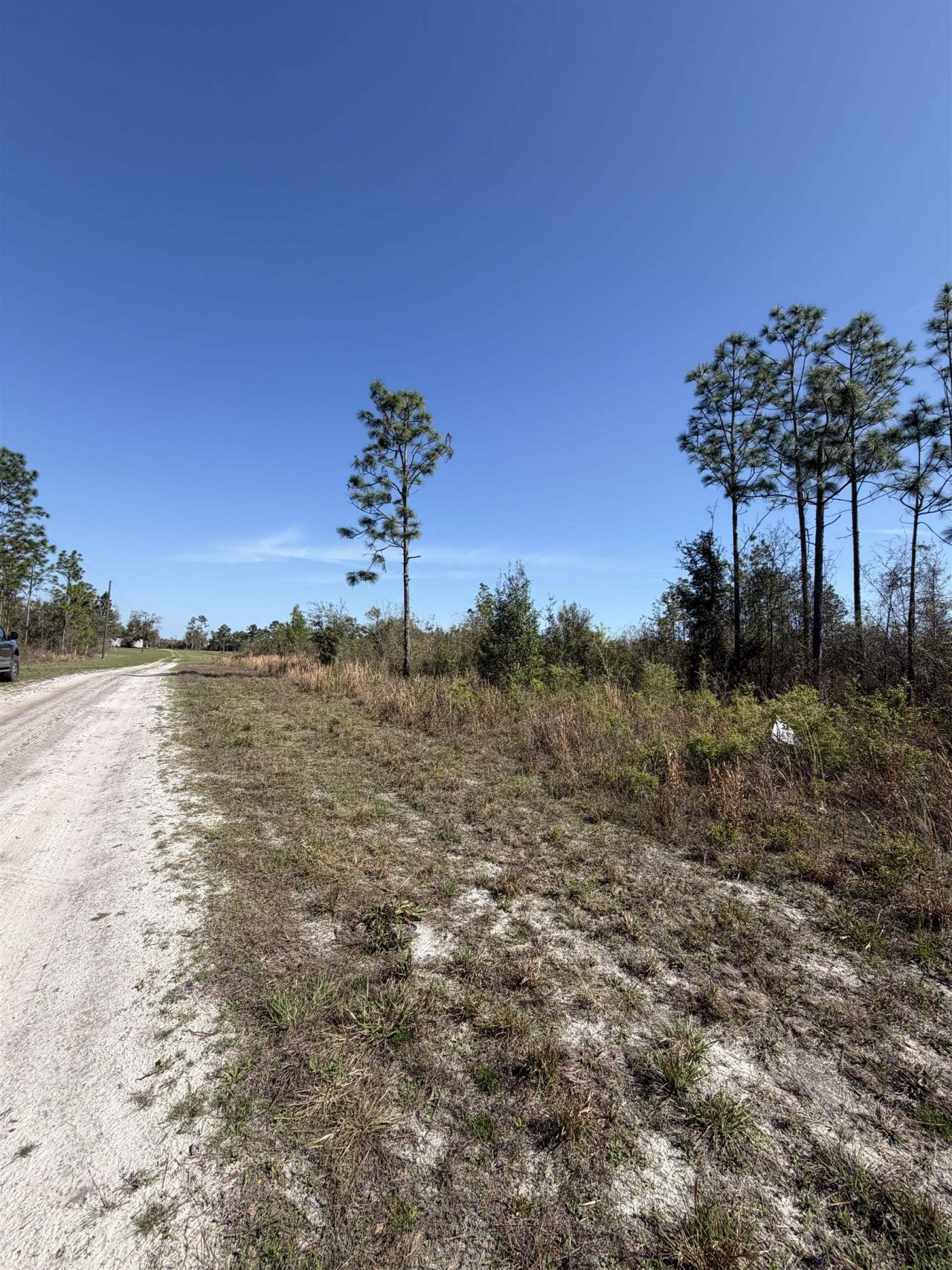 Se Colonial Way, Lee, FL 32059 Photo