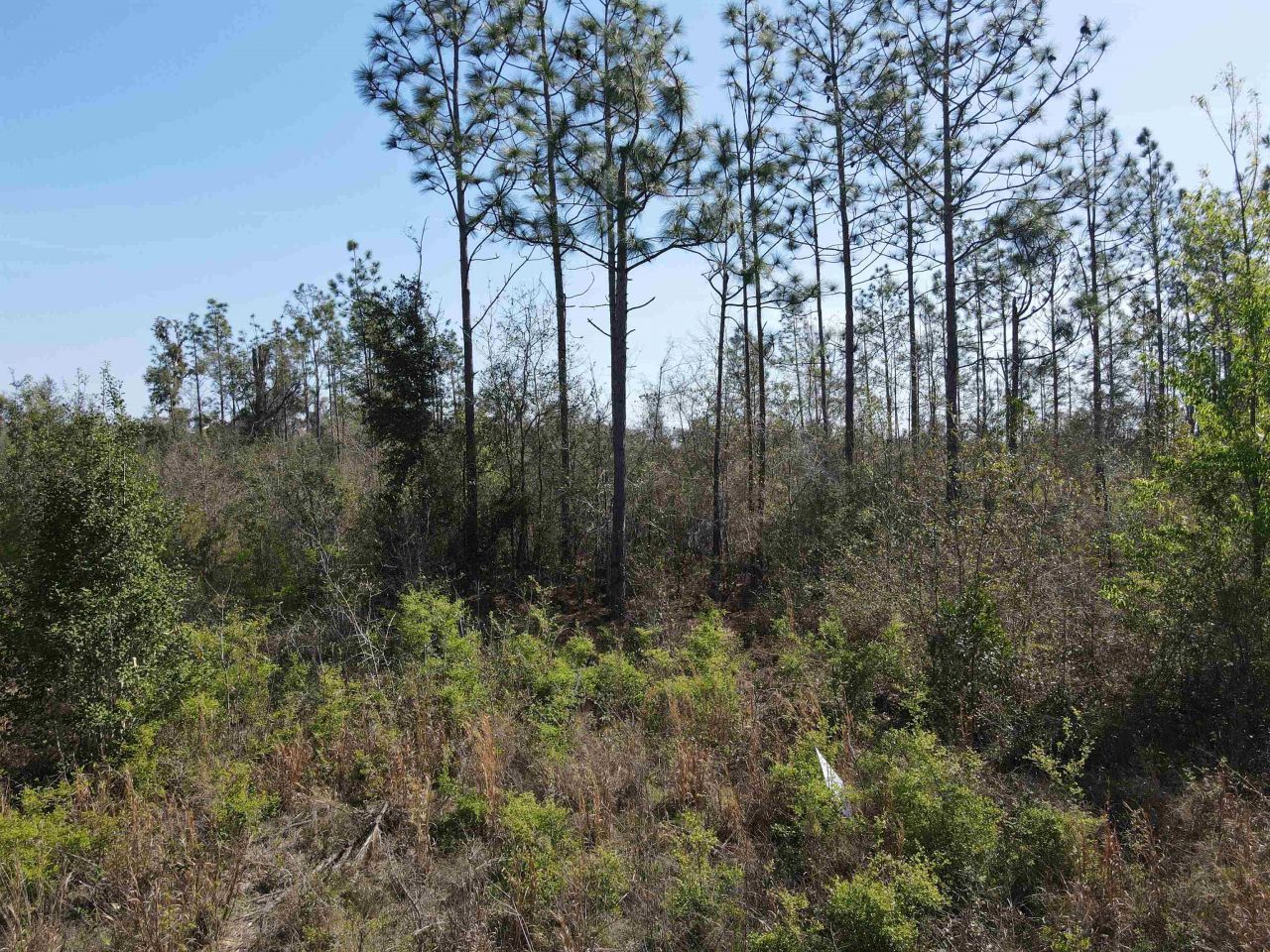 Se Colonial Way, Lee, FL 32059 Photo