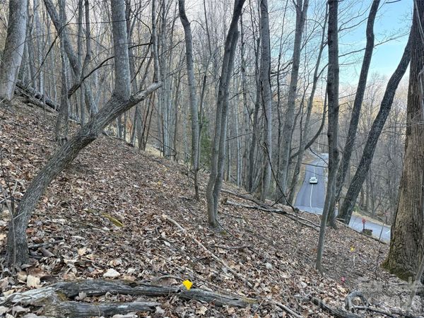 Lot #117 Honey Locust Drive, Mills River, NC 28759