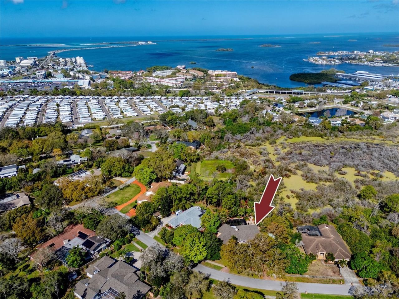 2780 Long Putt Court, Palm Harbor, FL 34683 Photo