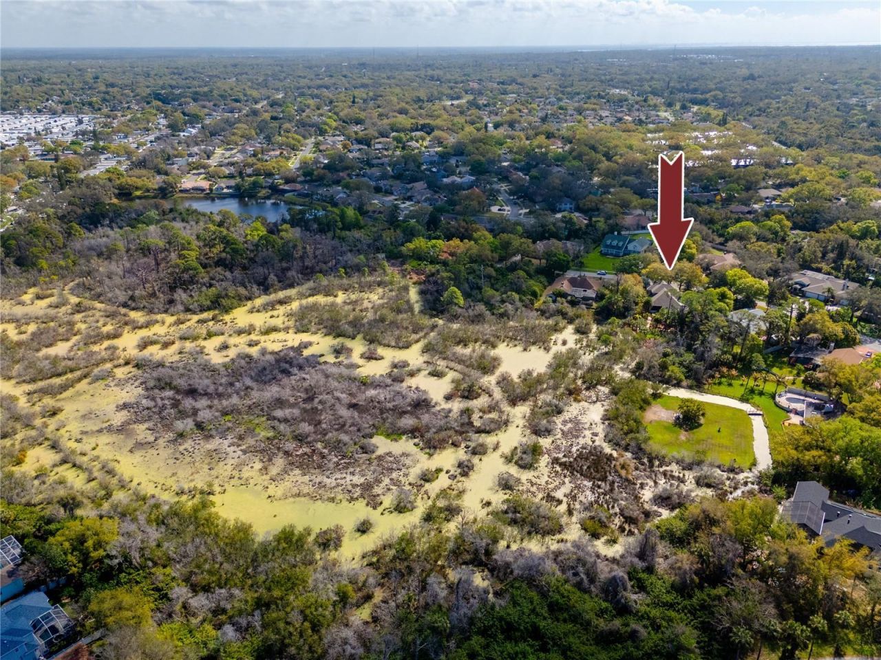 2780 Long Putt Court, Palm Harbor, FL 34683 Photo