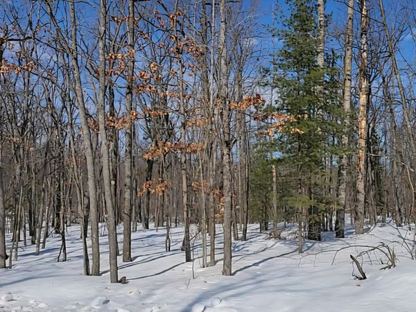 Lot 297 Nottingham Drive, Frederic, MI 49733
