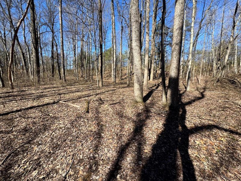 1061 Poplar Ridge Road , Unit (Ponds Pop, Gallipolis, OH 45631 Photo 10