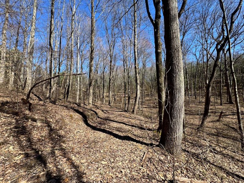 1061 Poplar Ridge Road , Unit (Ponds Pop, Gallipolis, OH 45631 Photo 11