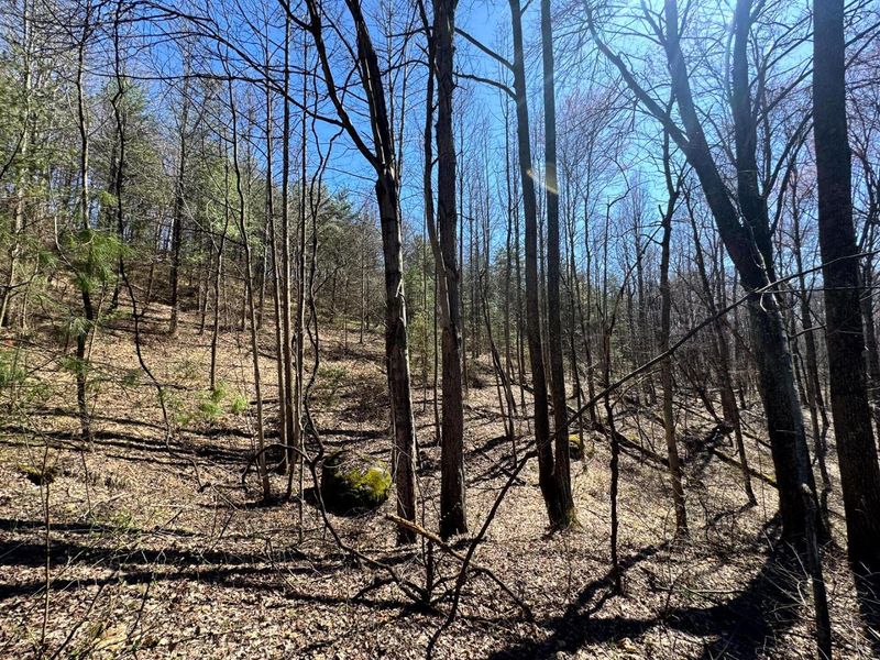 1061 Poplar Ridge Road , Unit (Ponds Pop, Gallipolis, OH 45631 Photo 12