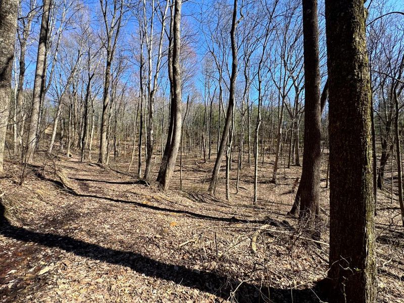 1061 Poplar Ridge Road , Unit (Ponds Pop, Gallipolis, OH 45631 Photo 13