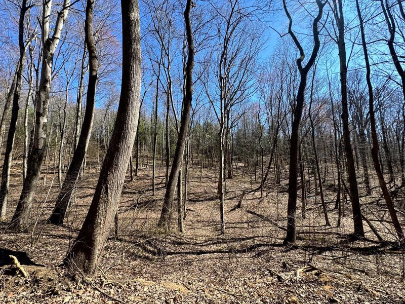 1061 Poplar Ridge Road , Unit (Ponds Pop, Gallipolis, OH 45631 Photo 14