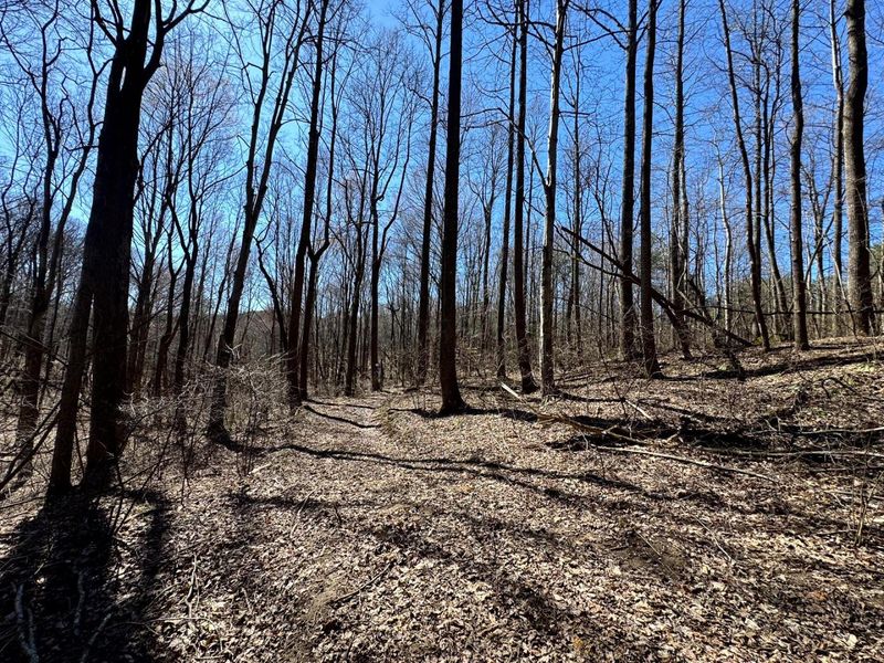 1061 Poplar Ridge Road , Unit (Ponds Pop, Gallipolis, OH 45631 Photo 15