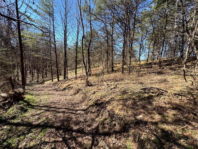 1061 Poplar Ridge Road , Unit (Ponds Pop, Gallipolis, OH 45631 Photo 16