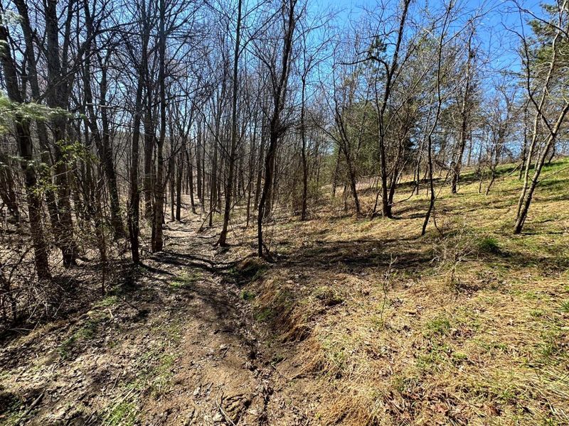 1061 Poplar Ridge Road , Unit (Ponds Pop, Gallipolis, OH 45631 Photo 18