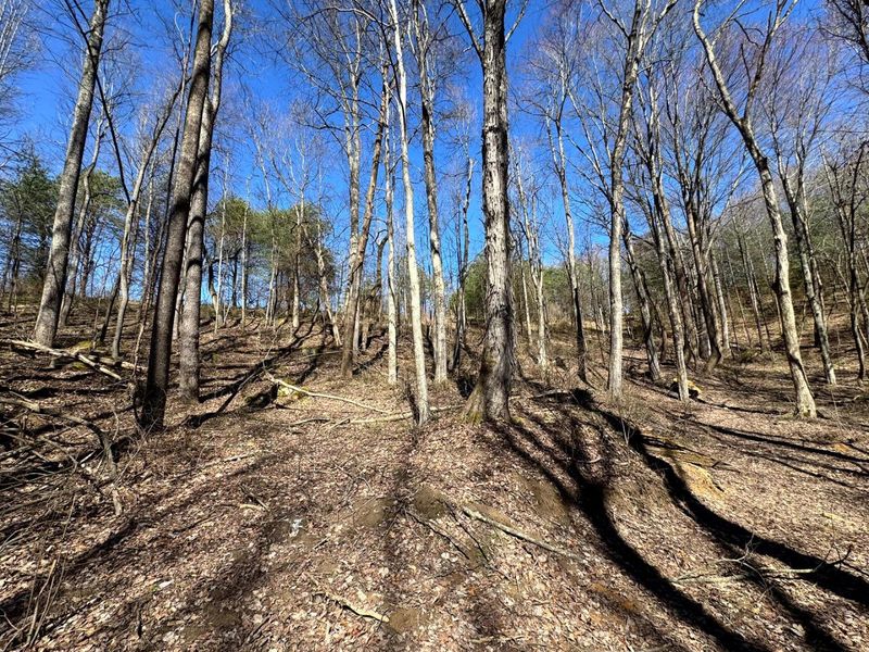 1061 Poplar Ridge Road , Unit (Ponds Pop, Gallipolis, OH 45631 Photo 19