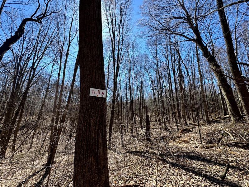 1061 Poplar Ridge Road , Unit (Ponds Pop, Gallipolis, OH 45631 Photo 4