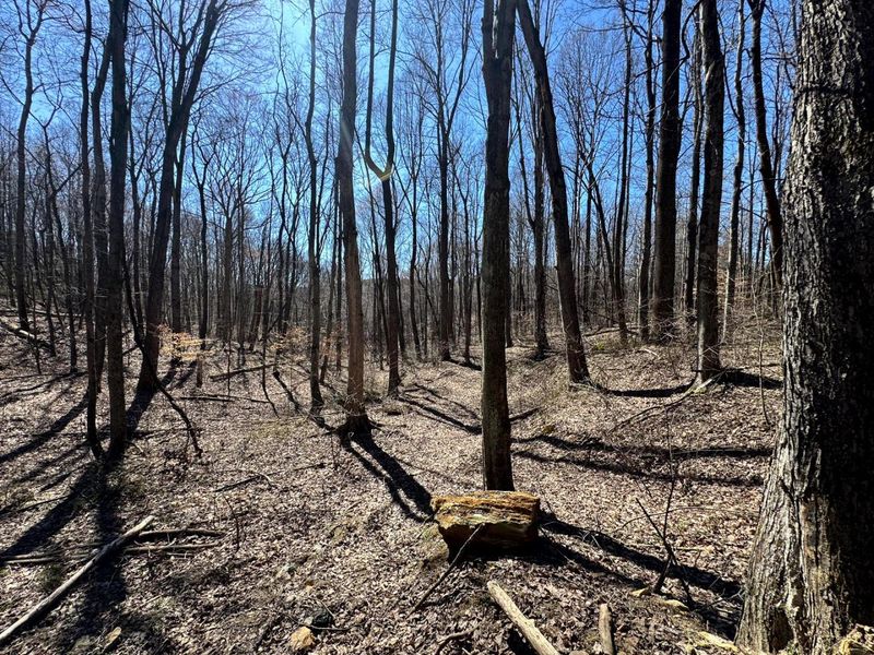 1061 Poplar Ridge Road , Unit (Ponds Pop, Gallipolis, OH 45631 Photo 5