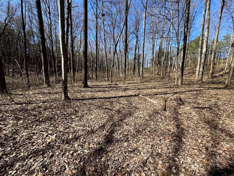 1061 Poplar Ridge Road , Unit (Ponds Pop, Gallipolis, OH 45631 Photo 6