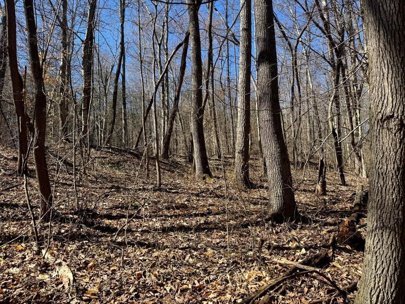 1061 Poplar Ridge Road , Unit (Ponds Pop, Gallipolis, OH 45631 Photo 7