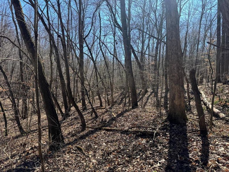 1061 Poplar Ridge Road , Unit (Ponds Pop, Gallipolis, OH 45631 Photo 8