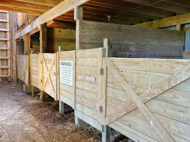 11879 Lockbourne Eastern Road, Ashville, OH 43103 Photo 39