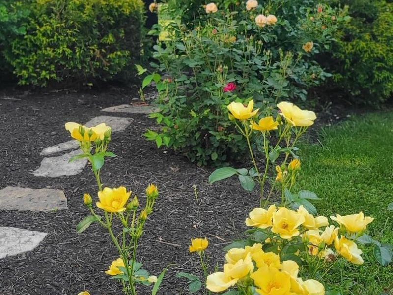 11879 Lockbourne Eastern Road, Ashville, OH 43103 Photo 46