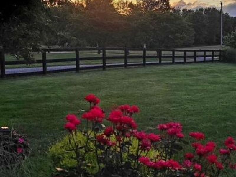 11879 Lockbourne Eastern Road, Ashville, OH 43103 Photo 57