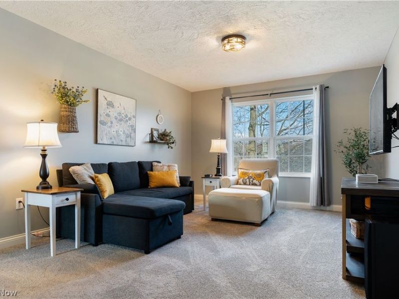 2343 Pebble Brook Path , Orrville, OH 44667 Photo 22