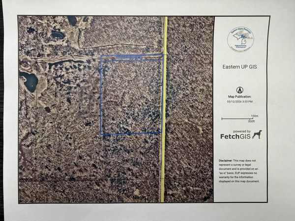 TBD S Brasser RD, Sugar Island, MI 49783