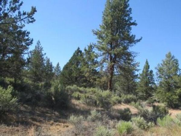 0 Little Fawn Drive, Unit 10, Chiloquin, OR 97624