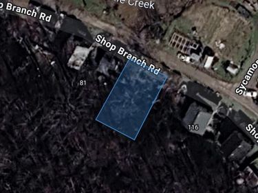 0 Shop Branch Road, Wayland, KY 41666