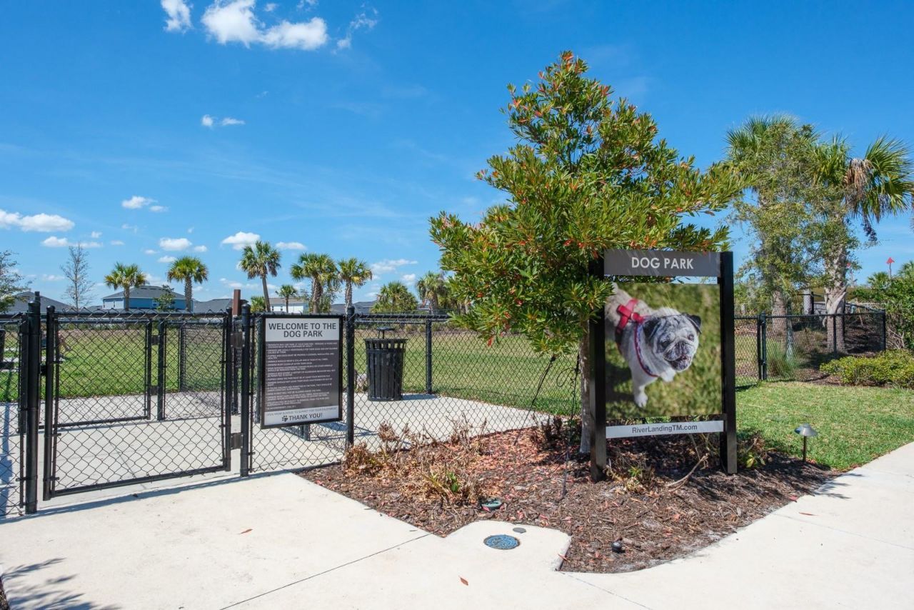 2651 Alluvial Way, Wesley Chapel, FL 33543 Photo