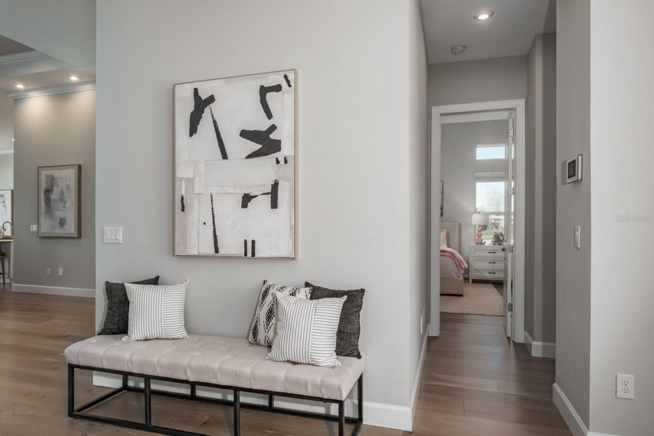 2651 Alluvial Way, Wesley Chapel, FL 33543 Photo