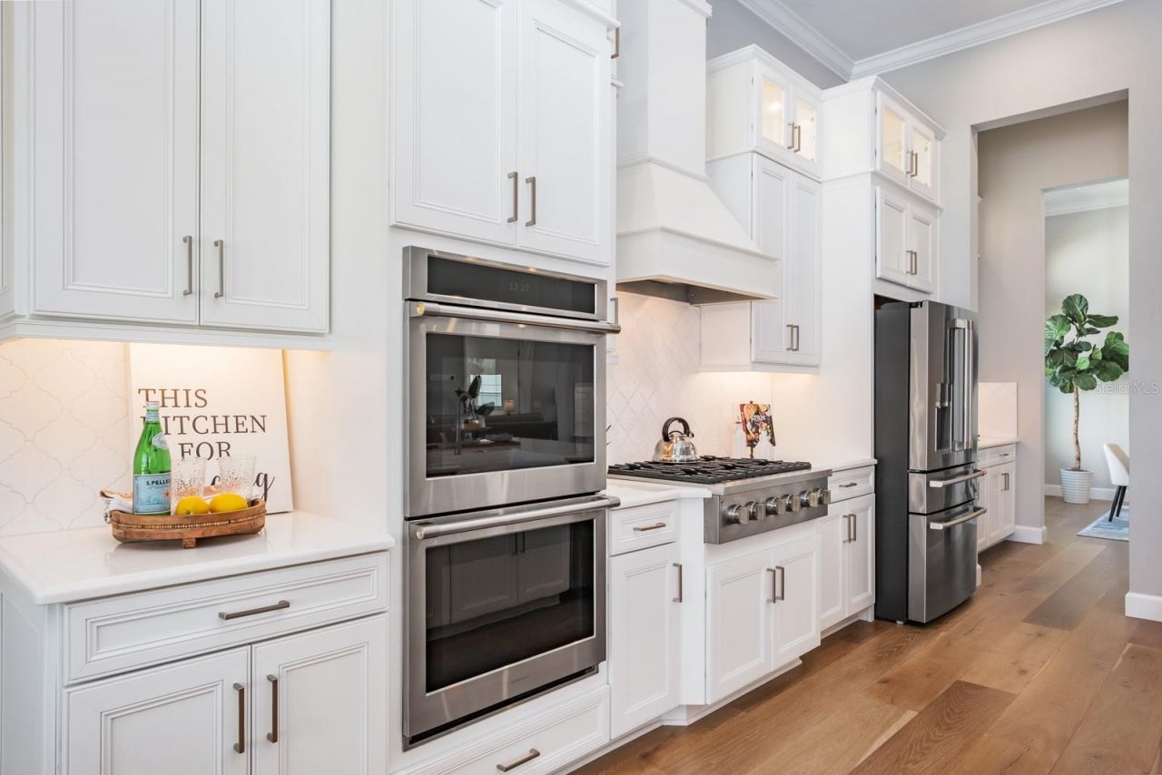 2651 Alluvial Way, Wesley Chapel, FL 33543 Photo