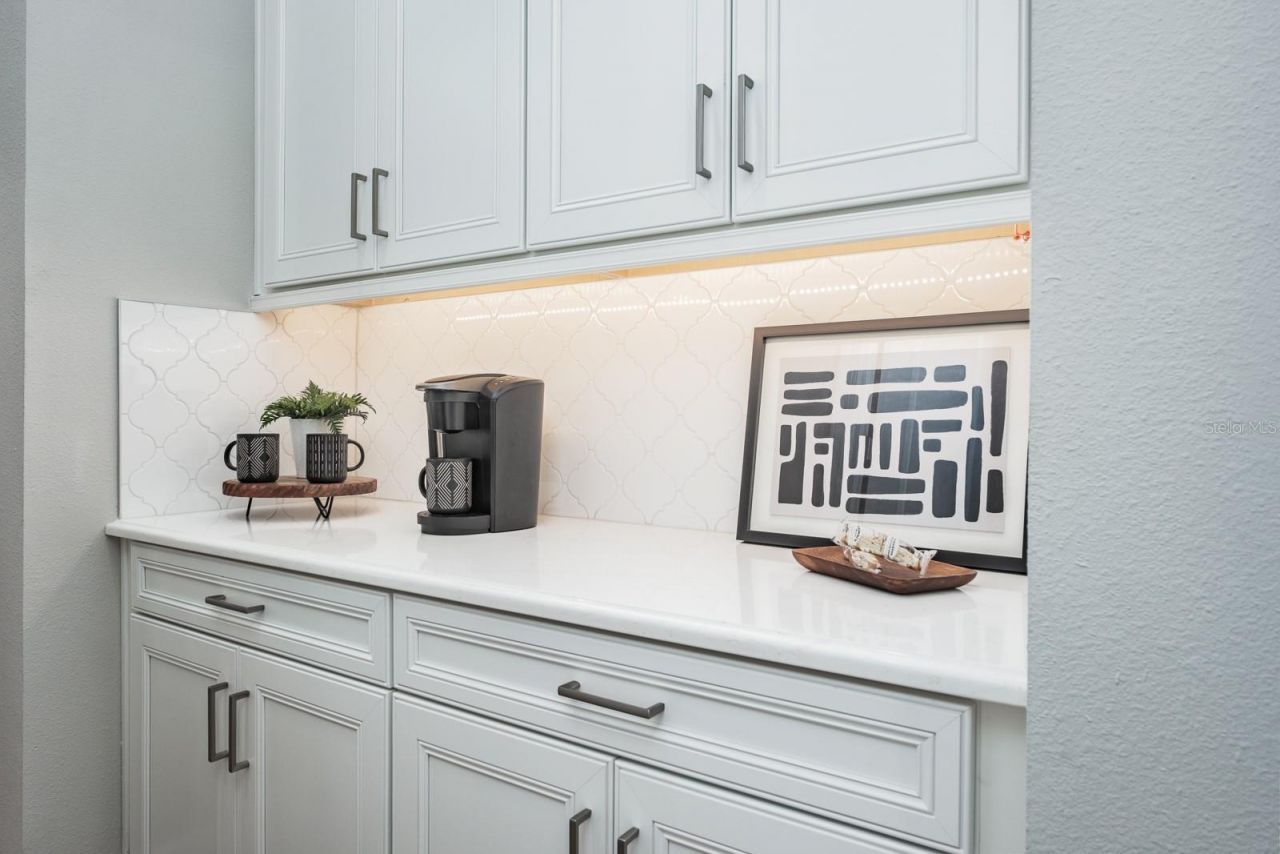 2651 Alluvial Way, Wesley Chapel, FL 33543 Photo