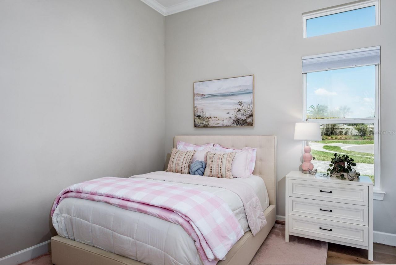 2651 Alluvial Way, Wesley Chapel, FL 33543 Photo