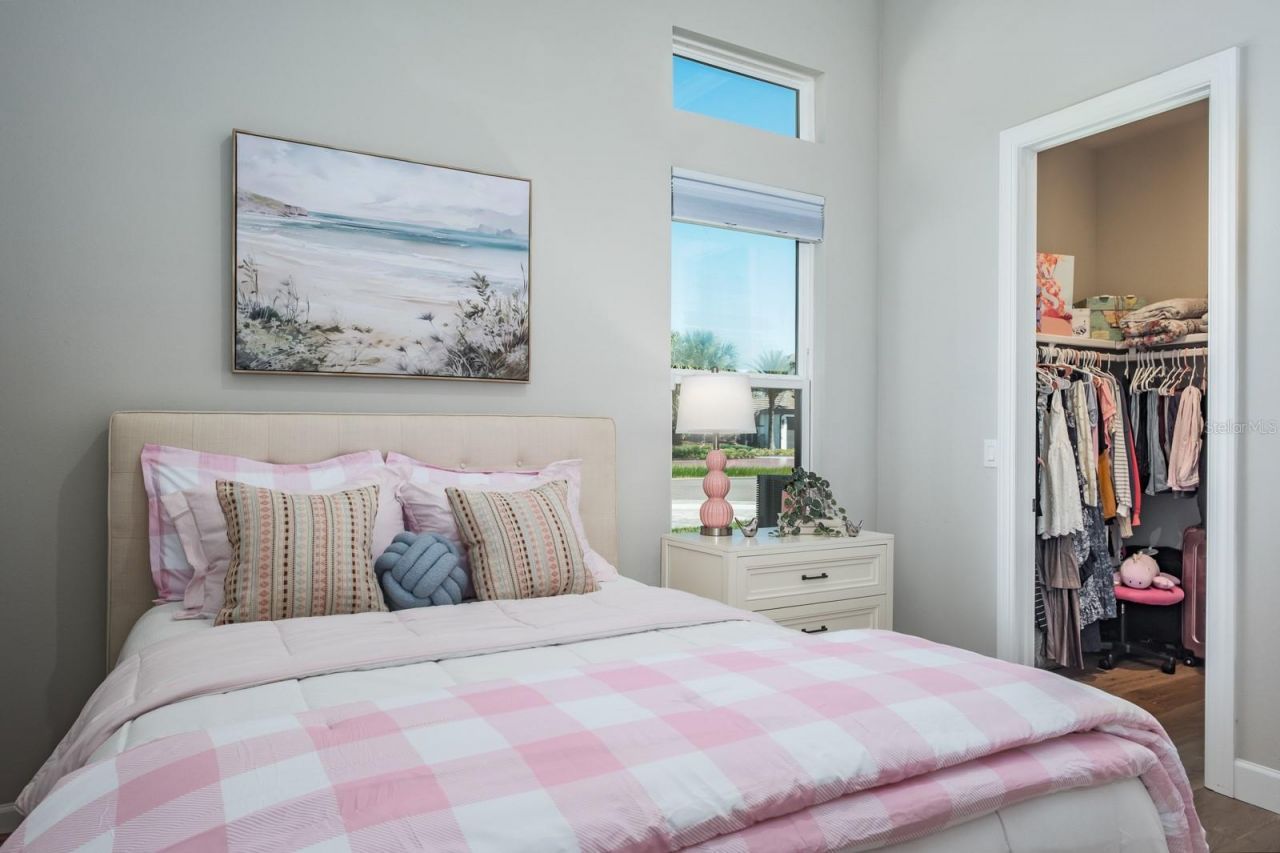 2651 Alluvial Way, Wesley Chapel, FL 33543 Photo