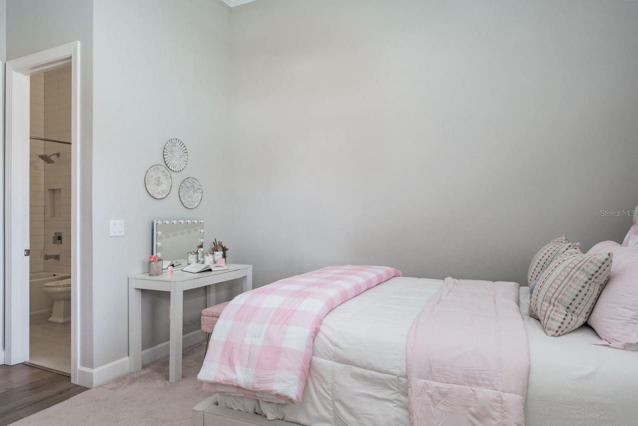 2651 Alluvial Way, Wesley Chapel, FL 33543 Photo