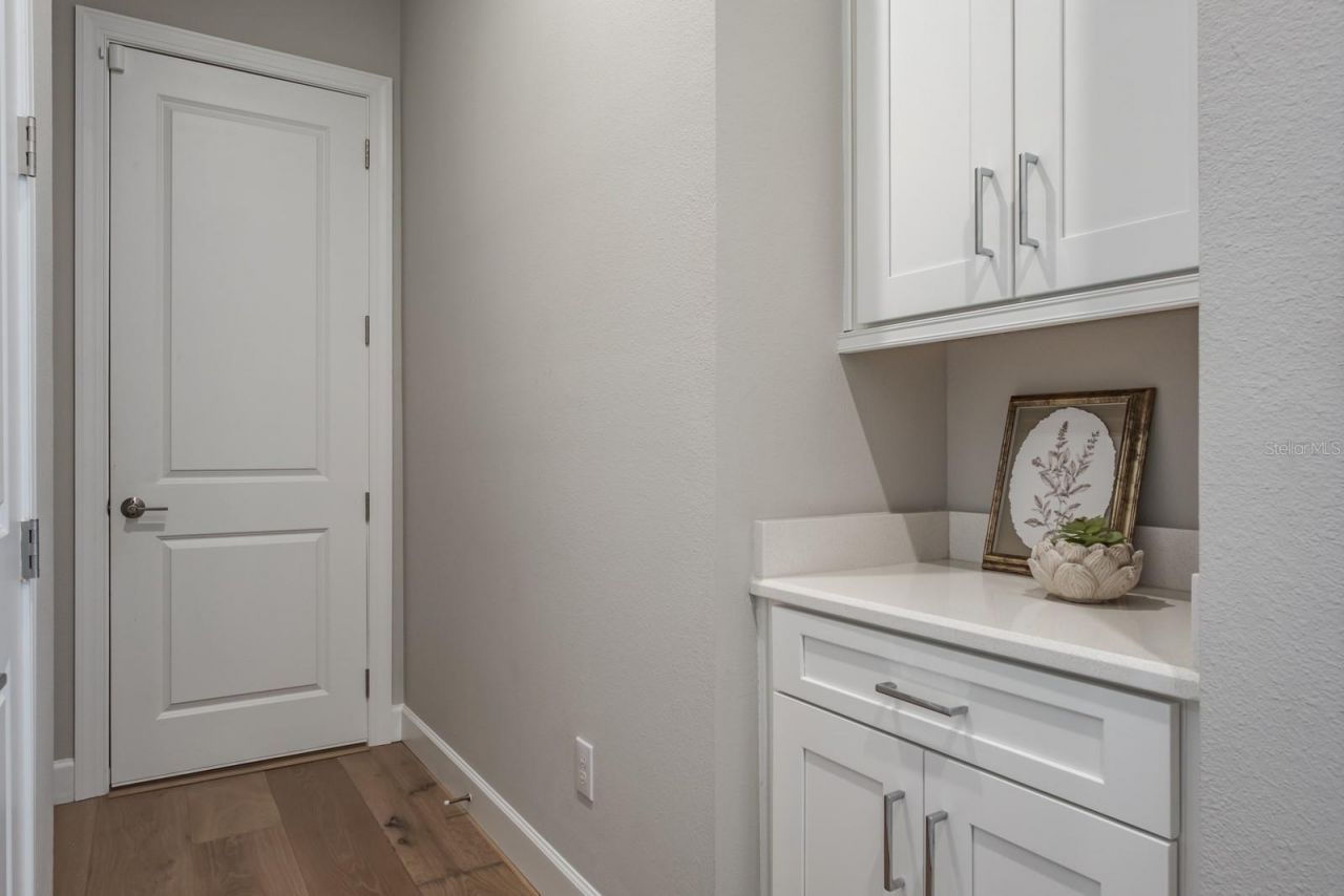 2651 Alluvial Way, Wesley Chapel, FL 33543 Photo