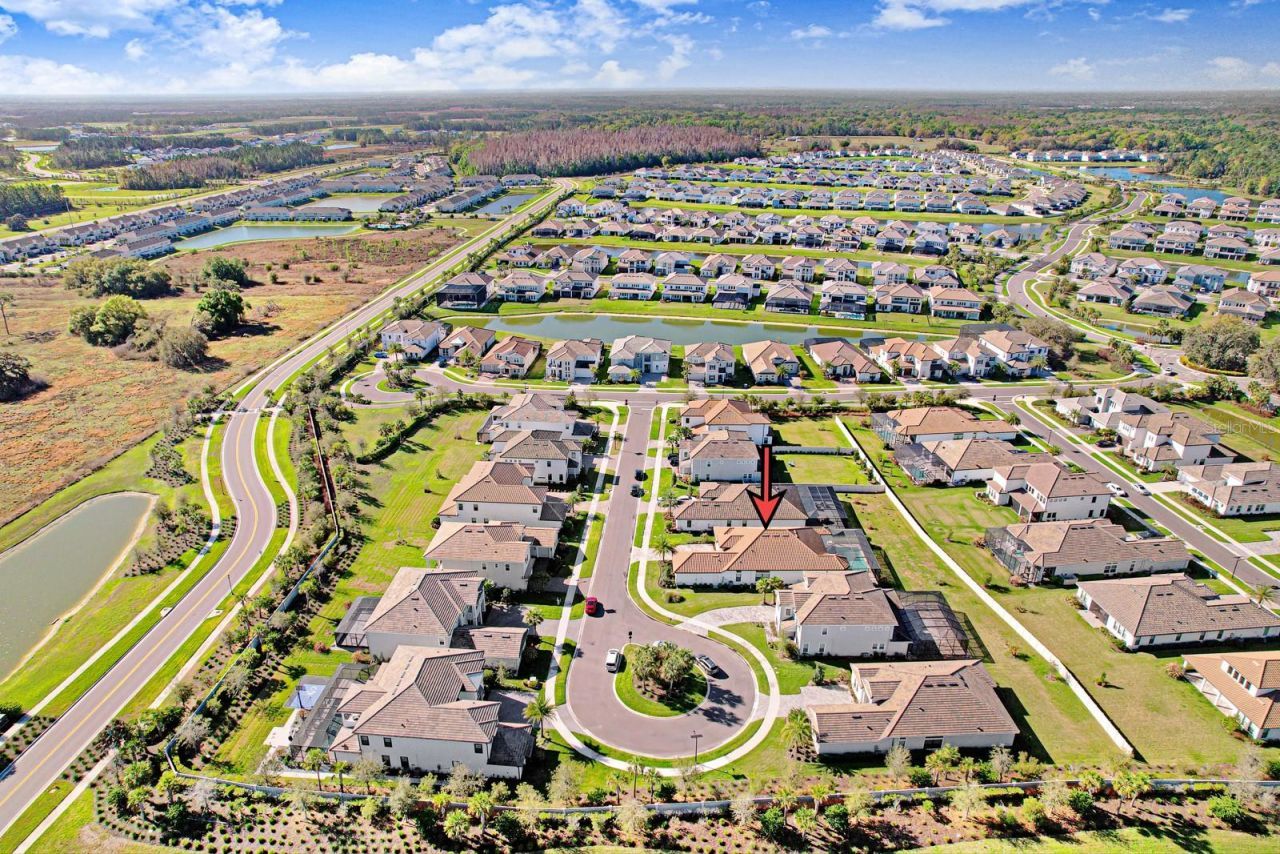 2651 Alluvial Way, Wesley Chapel, FL 33543 Photo