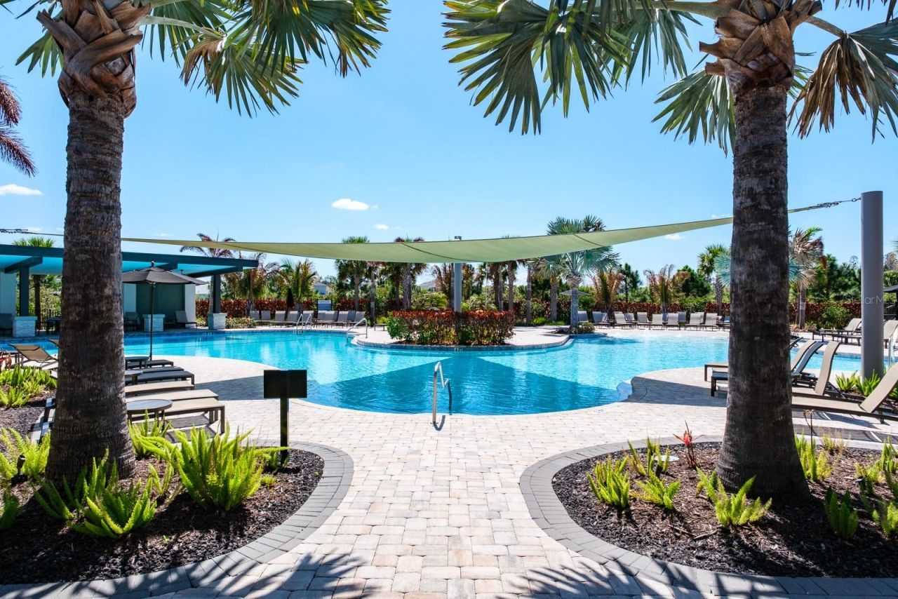 2651 Alluvial Way, Wesley Chapel, FL 33543 Photo