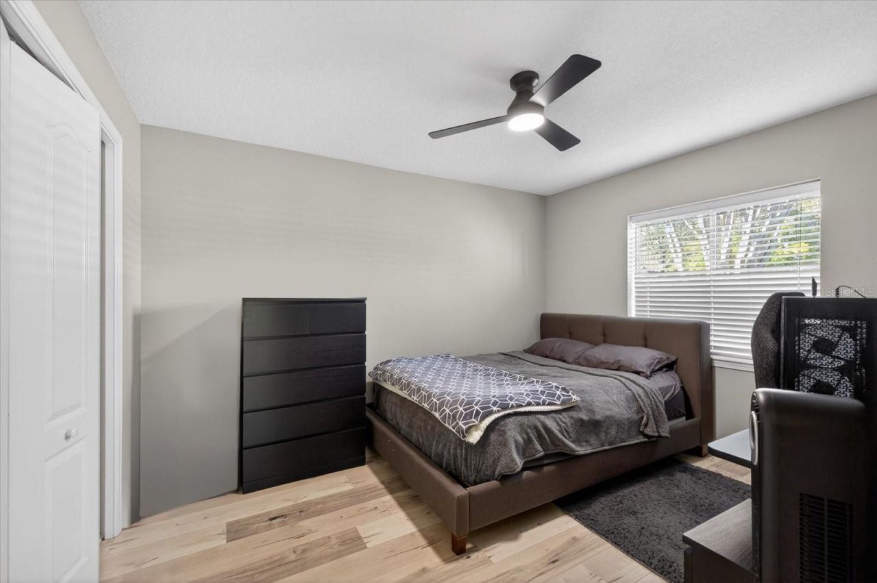 3185 Burberry Street, Tarpon Springs, FL 34688 Photo