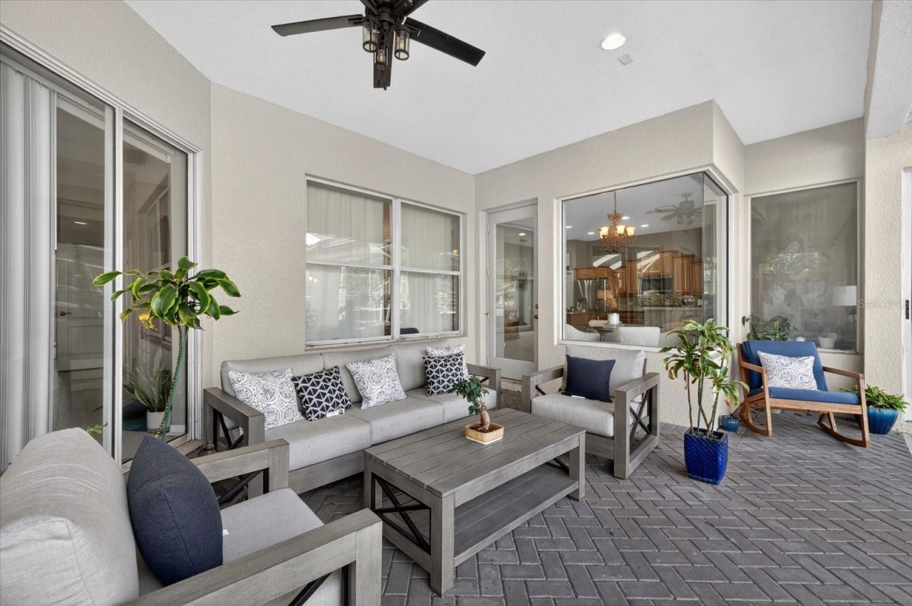 3185 Burberry Street, Tarpon Springs, FL 34688 Photo