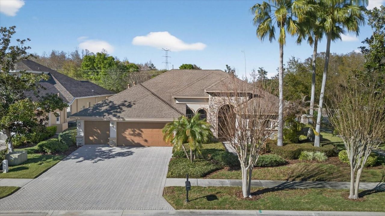 3185 Burberry Street, Tarpon Springs, FL 34688 Photo