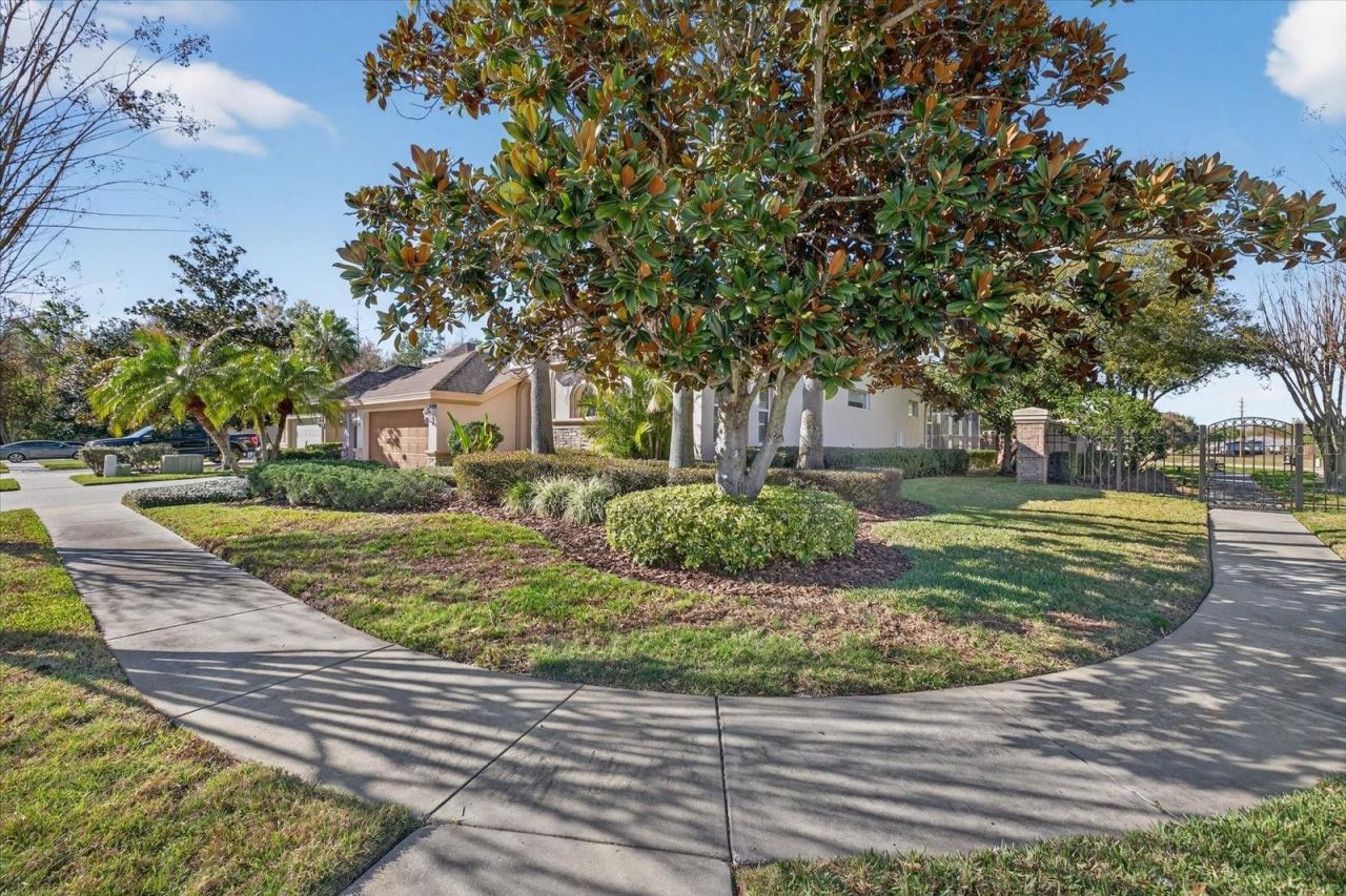 3185 Burberry Street, Tarpon Springs, FL 34688 Photo