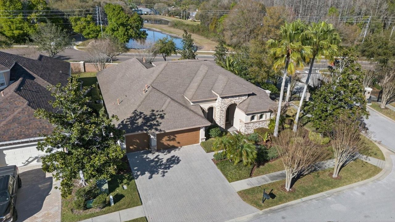 3185 Burberry Street, Tarpon Springs, FL 34688 Photo