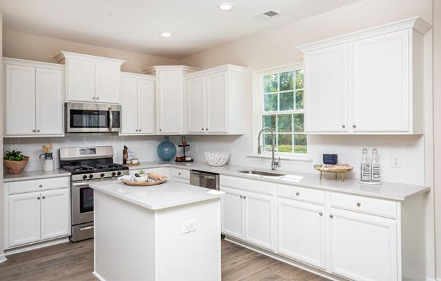 549 Red Monarch Way Photo 7