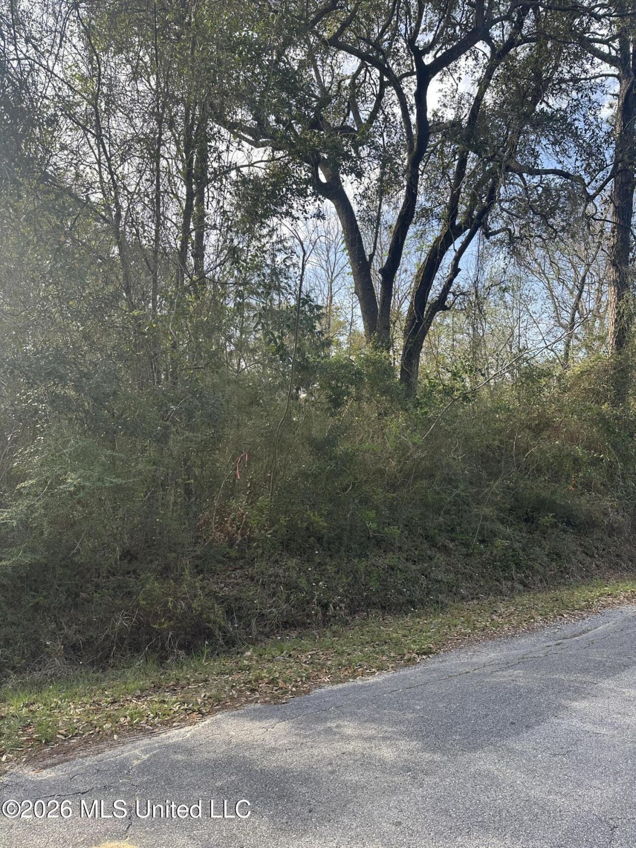 0 May Street, Ocean Springs, MS 39564 Main Photo