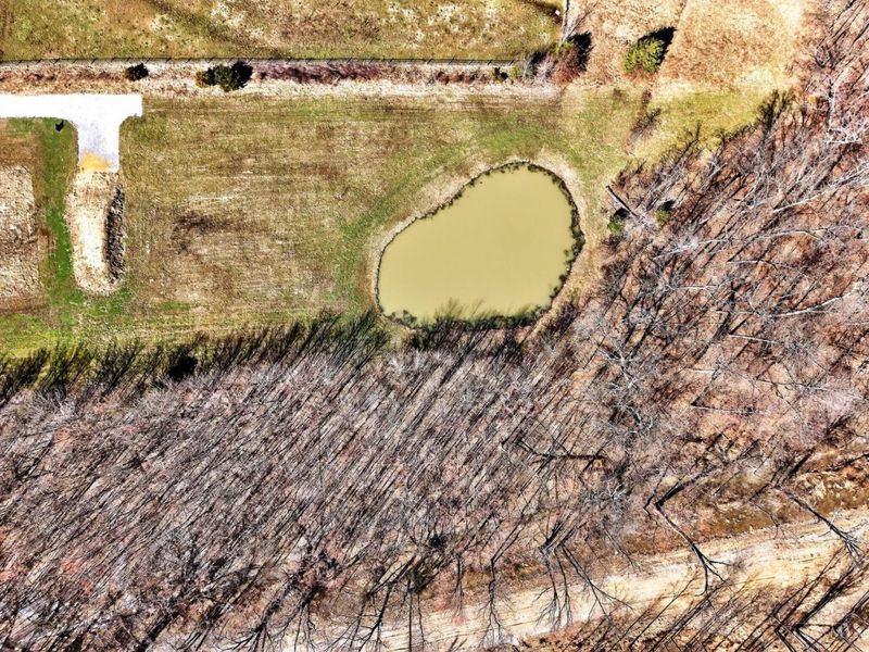 6142 St Rt 132, Goshen Twp, OH 45122 Photo 13